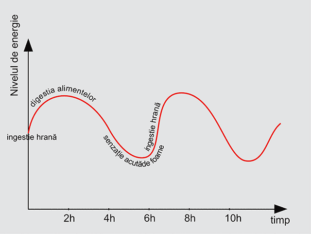 Graficul alternantei foamei cu perioade de energie pentru cei are consuma carbohidrati